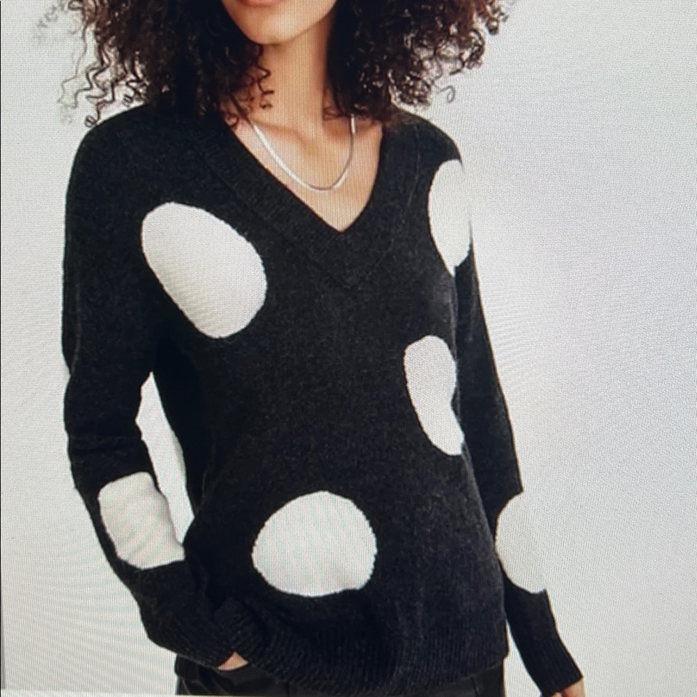 Madewell Polka Dot V Neck Pullover Coziest Yarn Capsule Minimalist Sweater